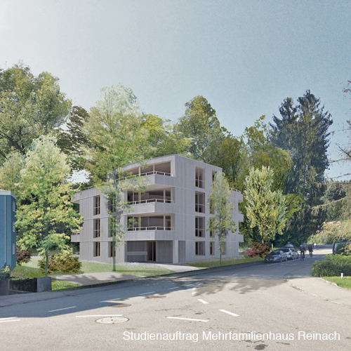 Studienauftrag Mehrfamilienhaus Reinach 387027